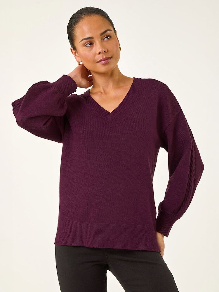 Roman Purple Petite Contrast Sleeve Knit Jumper - Image 4 of 4