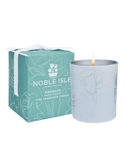Noble Isle Clear Pinewood Scented Candle - Image 1 of 1