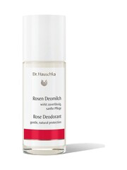 Dr. Hauschka Deodorant 50ml - Image 1 of 1