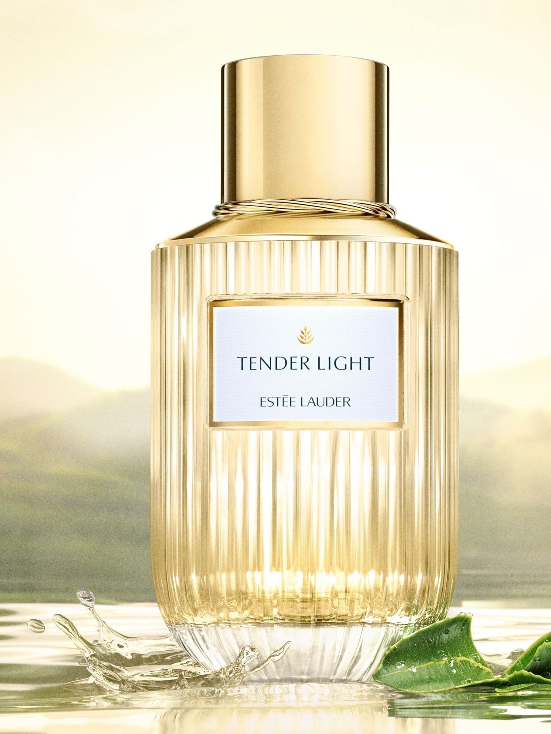 ESTEE LAUDER TENDER LIGHT 香水 100ml Buy Estée Lauder Tender Light Eau de Parfum Spray 100ml from the