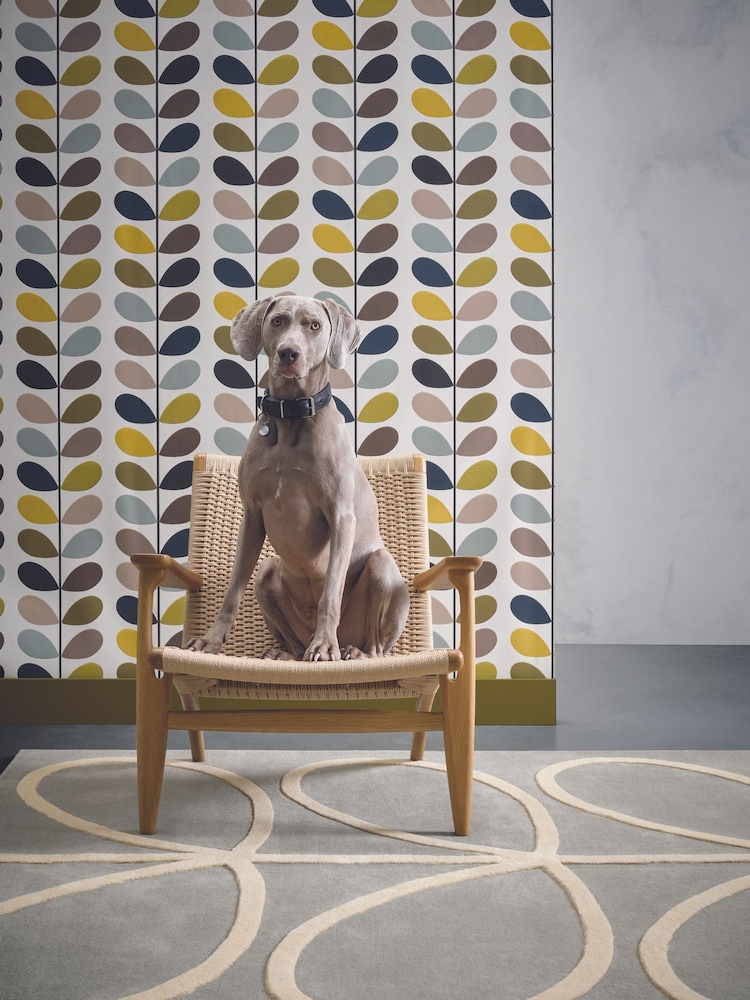 Orla Kiely Grey Giant Linear Stem Rug - Image 1 of 3 Orla Kiely Grey Giant Linear Stem Rug - Image 1 of 3