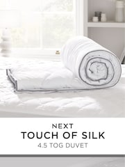 Одеяло Sleep In Silk - Изображение 4 из 5