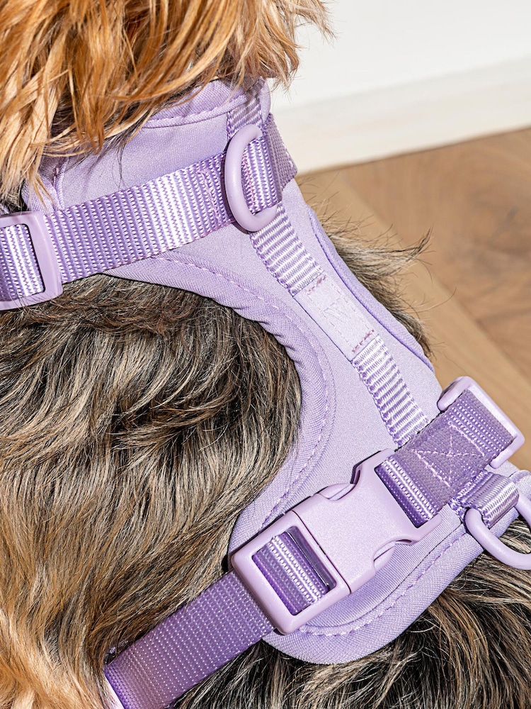 Wild One Purple Purple Harness - Image 2 of 3
