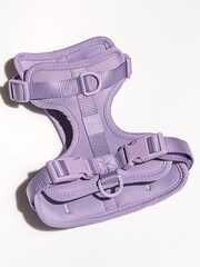 Wild One Purple Purple Harness - Image 3 of 3