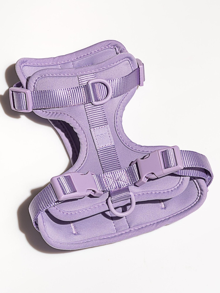 Wild One Purple Purple Harness - Image 3 of 3
