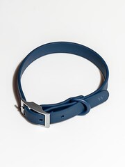 Wild One Blue Blue Collar - Image 1 of 1