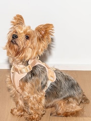 Wild One Tan Brown Tan Harness - Image 1 of 4