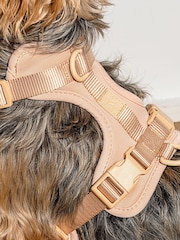 Wild One Tan Brown Tan Harness - Image 2 of 4