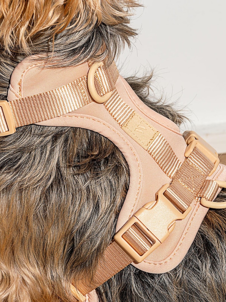 Wild One Tan Brown Tan Harness - Image 2 of 4