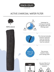 Black+Blum Black Set of 4 Active Charcoal Water Filters - Image 5 of 5