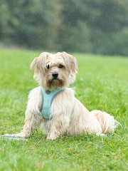 Hugo & Hudson Aqua Blue Herringbone Dog Harness - Image 1 of 4