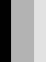 Graham & Brown Black Figaro Stripe 10M Wallpaper - Image 3 of 3