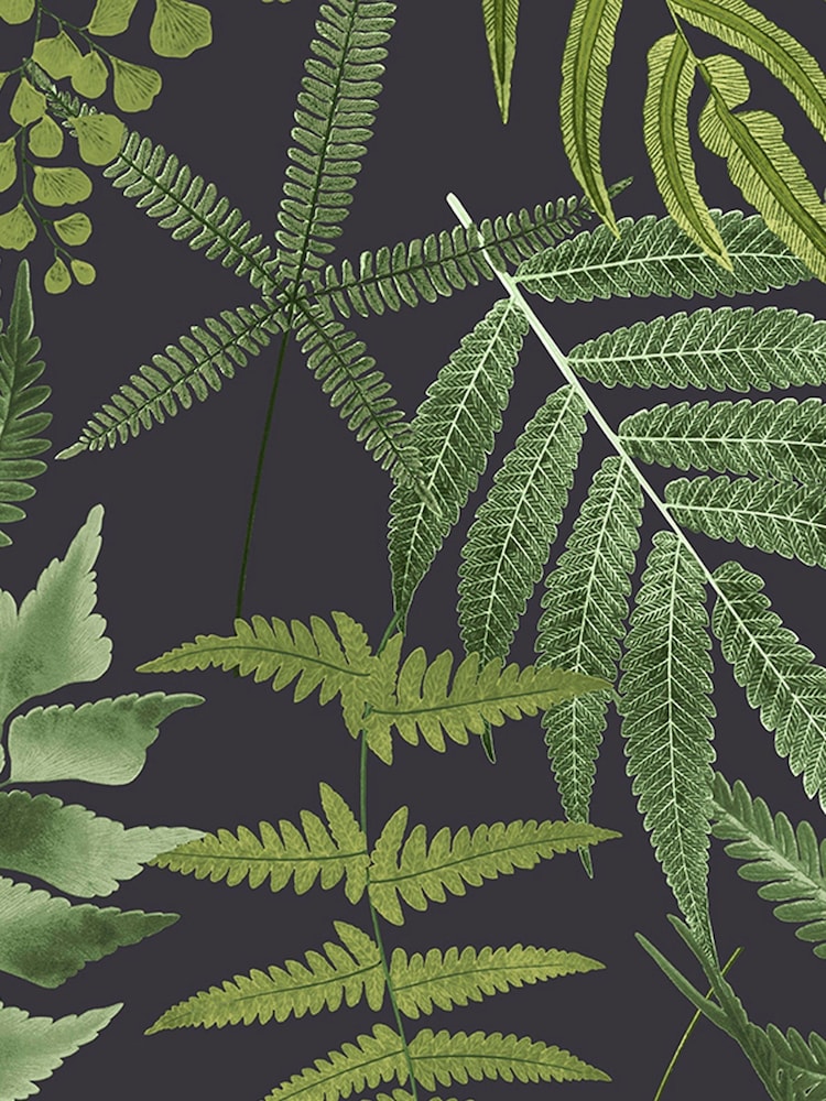 Graham & Brown Midnight Black Midsummer Wallpaper Sample - Image 3 of 3
