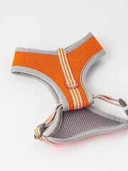 Hugo & Hudson Orange Mesh Dog Harness - Image 1 of 9