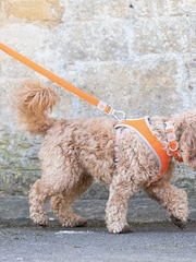 Hugo & Hudson Orange Mesh Dog Harness - Image 7 of 9