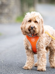 Hugo & Hudson Orange Mesh Dog Harness - Image 8 of 9