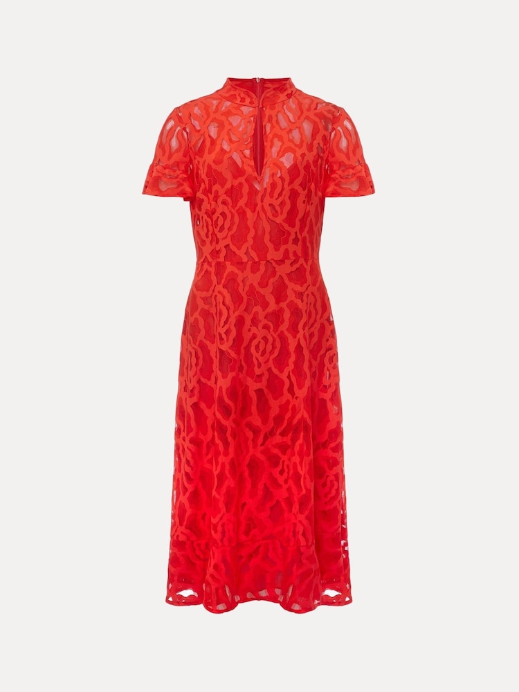 Phase Eight Red Lulu Lace Dress - Image 8 of 8
