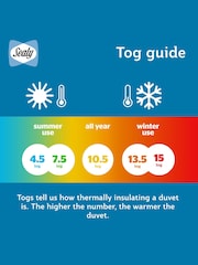 Sealy Anti Allergy 10.5 Tog Duvet - Image 6 of 9