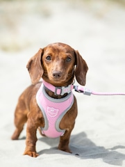 Hugo & Hudson Red Mesh Dog Collar - Image 1 of 4