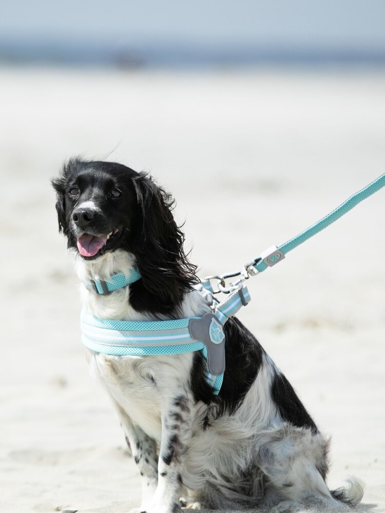 Hugo & Hudson Red Mesh Dog Collar - Image 1 of 4