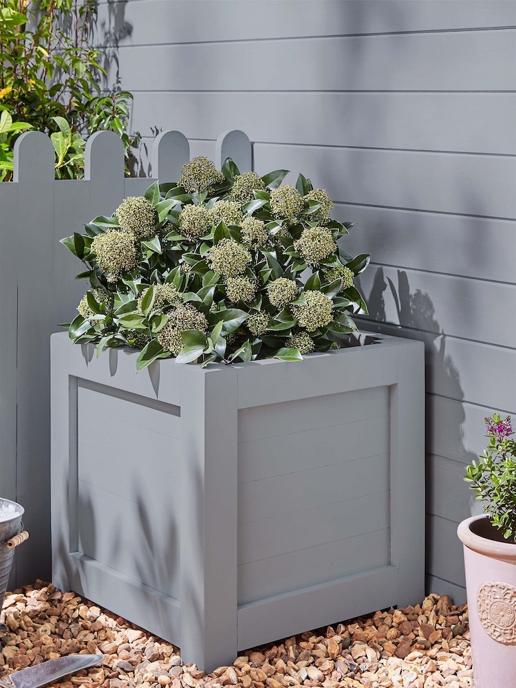 Laura Ashley Pale Slate Grey Garden 2.5Lt Paint - Image 2 of 5
