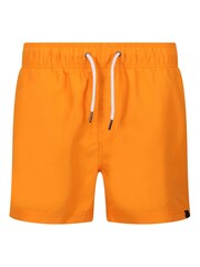 Regatta Orange Mawson III Swim Shorts - Image 5 of 8