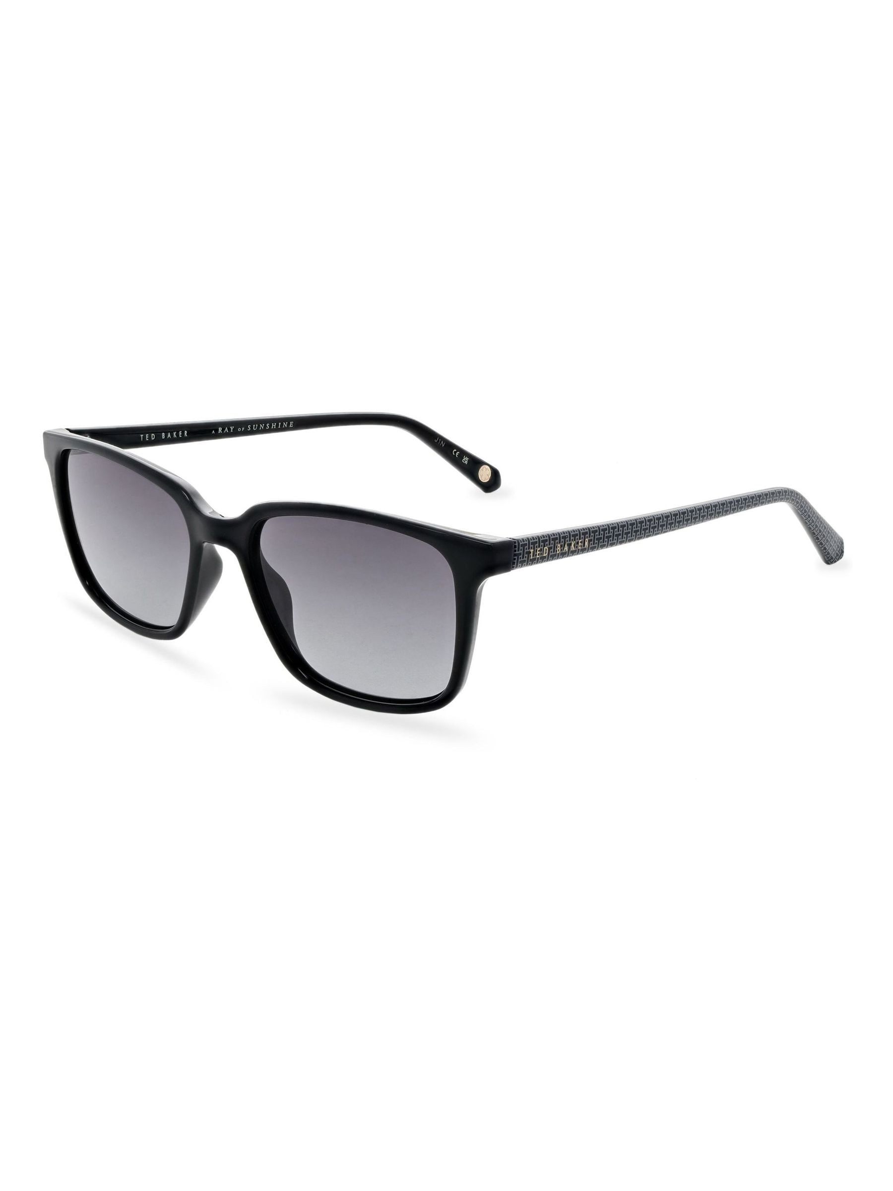 Ted Baker Black Classic Mens Sunglasses with Contrast Temples