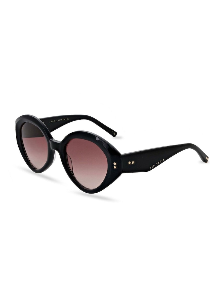 Ted Baker Womens Directional Fashion Sunglasses with Bevelled Edges and Pin Joint Detailing - Image 2 of 5