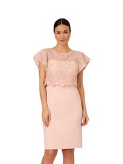 Adrianna Papell Natural Sequin Guipure Crepe Dress - Image 1 of 7