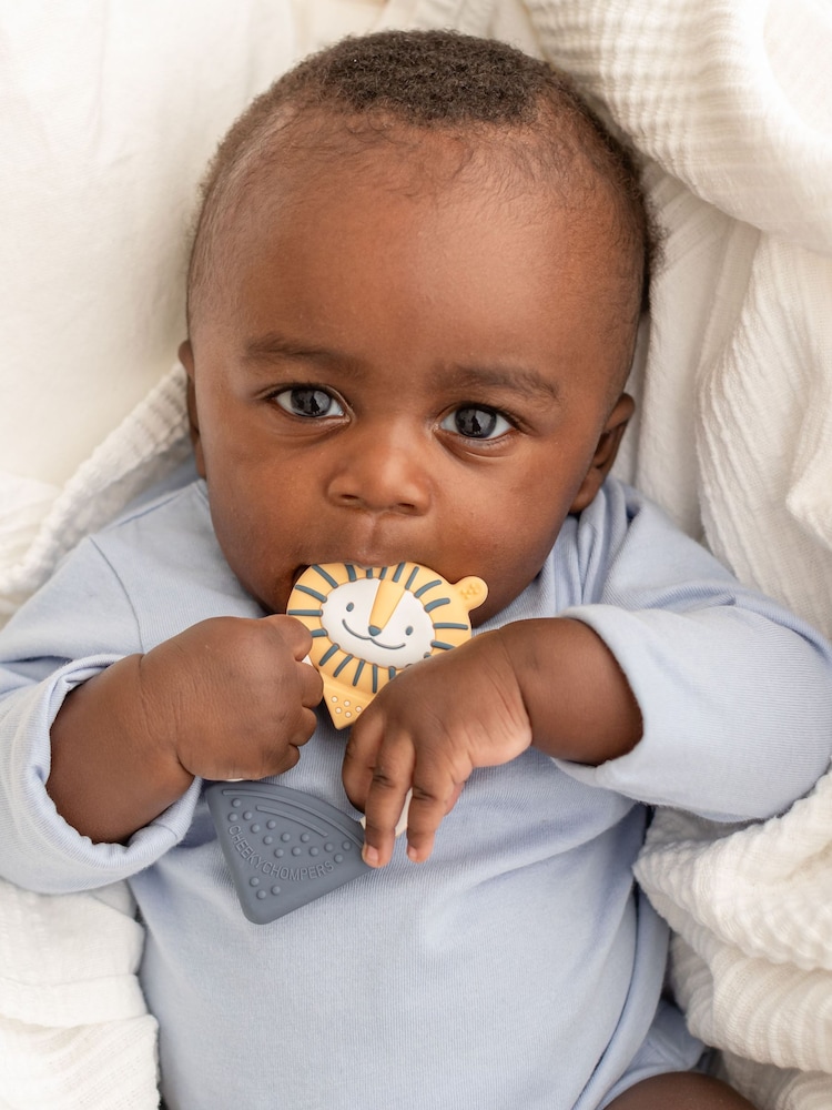 Cheeky Chompers Teething Baby Toys - Image 2 of 7