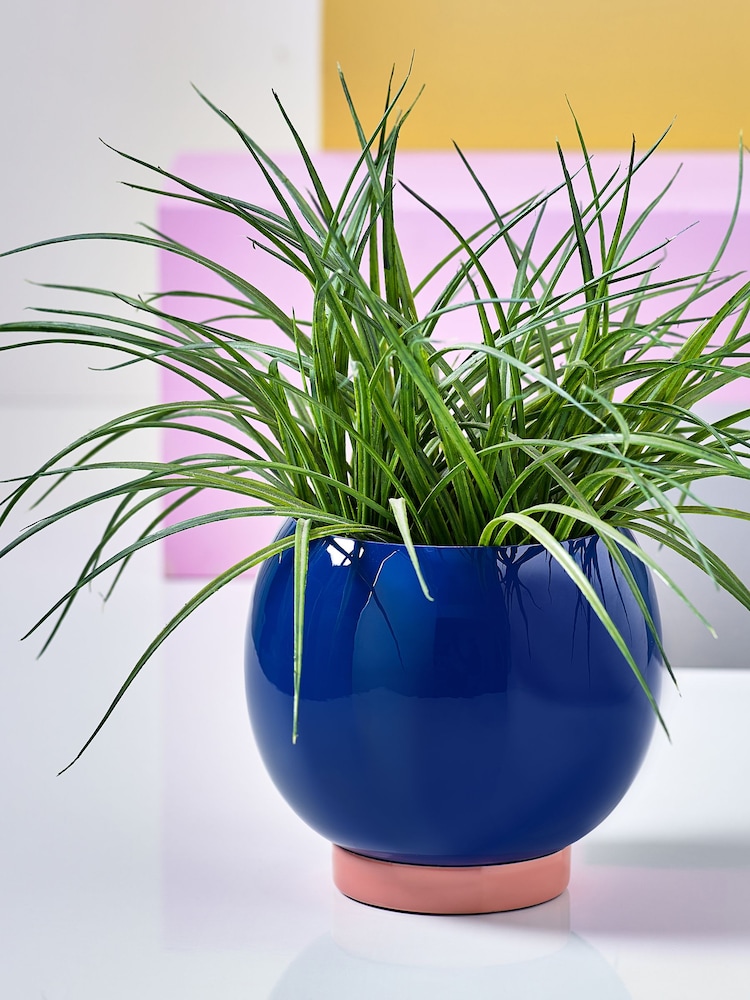 Novogratz Blue/Pink Small Plant Pot - Image 1 of 6
