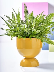 Novogratz Yellow Plant Pot - Image 1 of 4