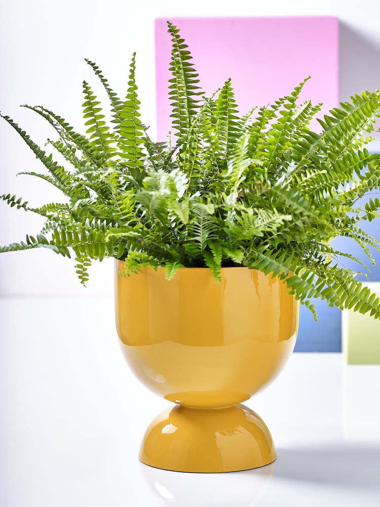 Novogratz Yellow Plant Pot - Image 1 of 4