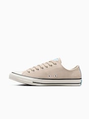 Converse Ivory Chuck Taylor All Star Suede Ox Low Trainers - Image 5 of 10
