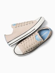 Converse Ivory Chuck Taylor All Star Suede Ox Low Trainers - Image 6 of 10