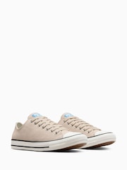 Converse Ivory Chuck Taylor All Star Suede Ox Low Trainers - Image 8 of 10