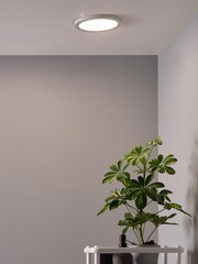 BHS Silver Tauri 24W LED Flush Ceiling Light - Image 1 of 4