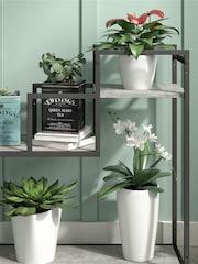 Novogratz Grey Weston Plant Stand - Image 2 of 5