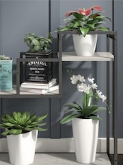 Novogratz Grey Weston Plant Stand - Image 2 of 5