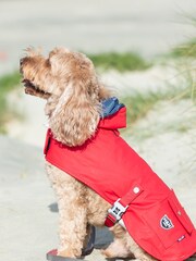 Hugo & Hudson Red Dog Raincoat - Image 1 of 4