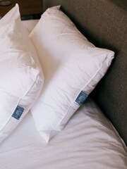 Norfolk Feather Company Set of 2 Hollowfibre Pair Pillows - Image 1 of 2