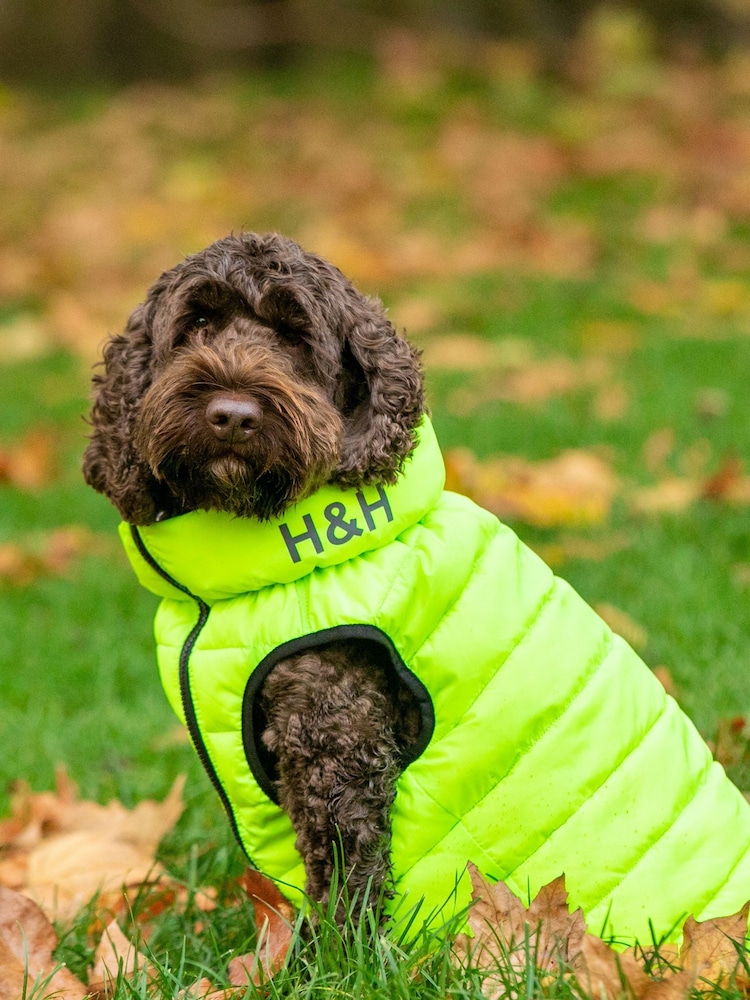 Hugo & Hudson Green and Navy Reversible Dog Puffer Jacket - Image 1 of 4