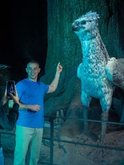 Virgin Experience Days Warner Bros Studio Tour London - The Making of Harry Potter with Return Transport - Image 2 of 4