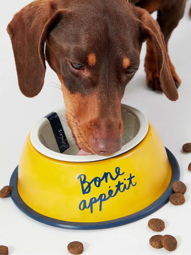 Joules Yellow Bone Appetite Stainless Steel Dog Bowl - Image 1 of 4