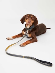 Joules Navy Leather Dog Lead - Image 1 of 4