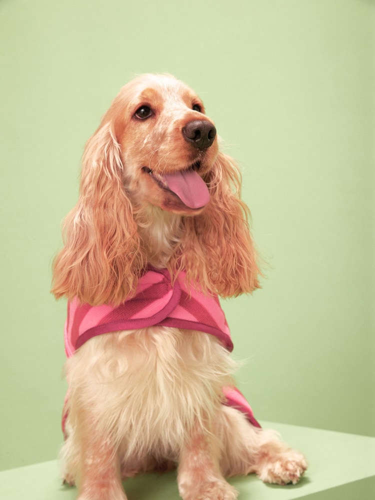 Pink Dog Drying Towel Robe - Image 2 of 7