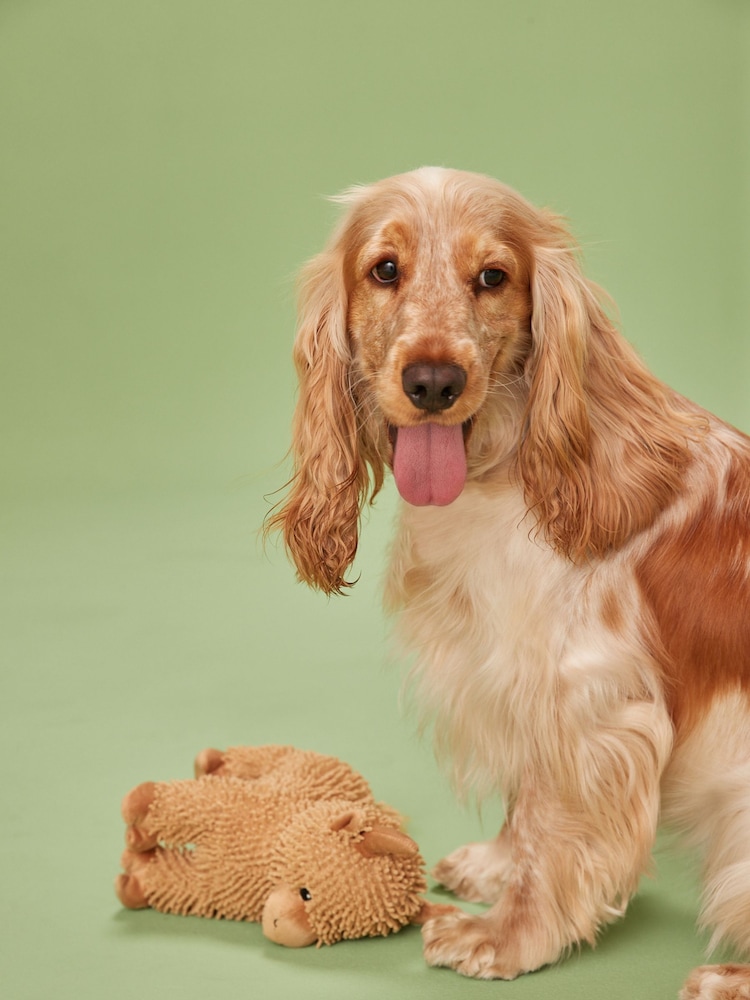 Hamish The Highland Cow Dog Toy - Image 3 of 4