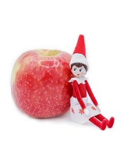 The Elf On The Shelf World’s Smallest Girl Toy - Image 3 of 4
