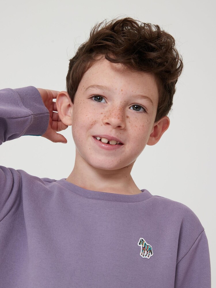 Paul Smith Junior Boys Zebra Logo Crew Neck Sweatshirt - Image 3 of 10