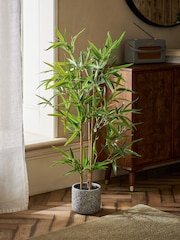 Green Artificial Bamboo Tree Plant In Concrete Pot - Image 1 of 3